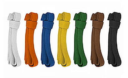 Graderingsinformasjon for juniorpartiet – våren 2015