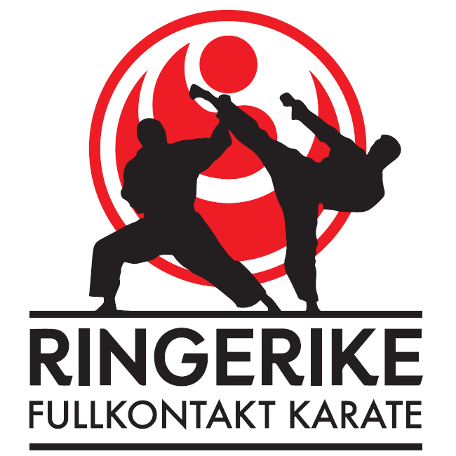 Ringerike karateklubb takker for støtte